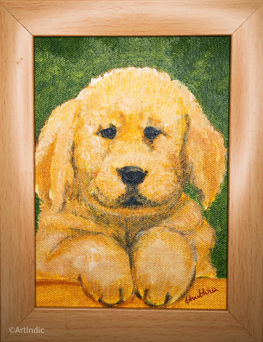 Golden Retriever - Cream Frame